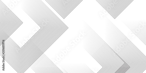 Photography Minimal thin curve black and white gradient stripe diagonal line smooth dynamic tech transparent fabric pattern design