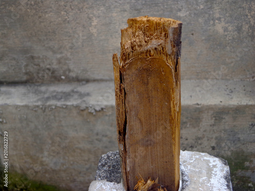 Fotografie Pieces of bamboo stuck in holes in the rock