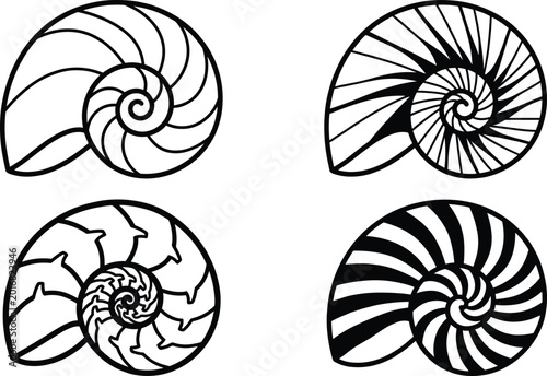 Quadro su tela Stylized spiral shell vector illustration set showing artistic variations of nau