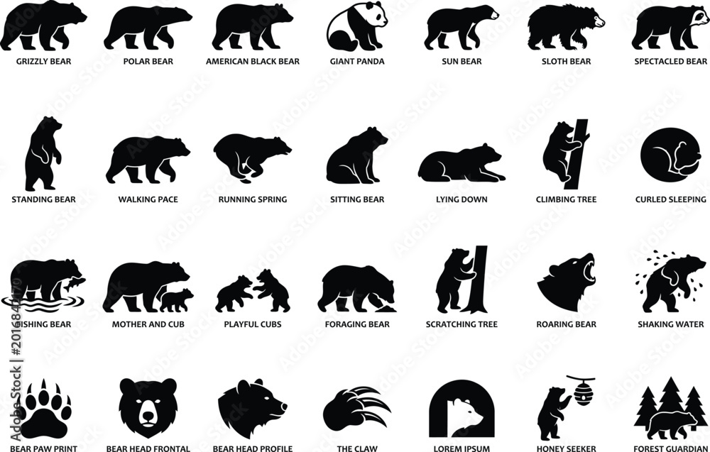 Obraz premium Bear species and behaviors solid icon set. Featuring grizzly, polar, panda, and sun bear silhouettes. Includes fishing, climbing, roaring, and walking actions for wildlife conservation materials.