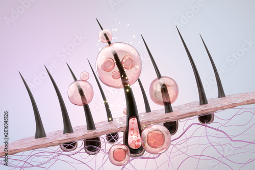 Foto Microscopic hair follicle cross section with nourishment strengthening root and