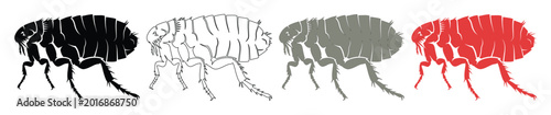 Foto Flea vector illustration set, four distinct flea designs in black, outline, grey