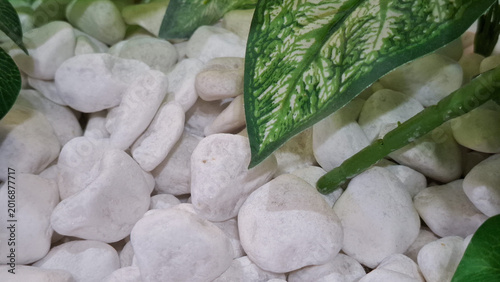 Canvas Print Premium smooth white decorative river stones and polished pebbles arranged with