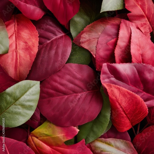 Colorful Leaves on Display in Various Shades of Red and Green During Autumn S...