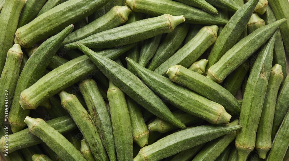 Obraz premium Abundant pile of fresh green okra pods with ribbed texture and pointed ends filling the frame ladyfinger