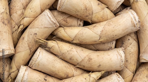 A close-up overhead view of a pile of fresh, light brown bamboo shoots with layered, papery husks and pointed tips