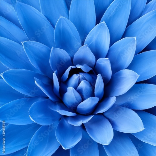 Close View of a Blue Flower With Many Petals Arranged in a Circular Pattern
