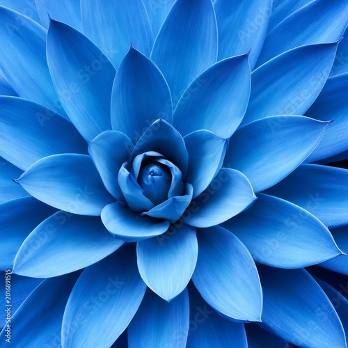 Colorful Blue Flower Close up Showing Petals and Center in Clear Detail