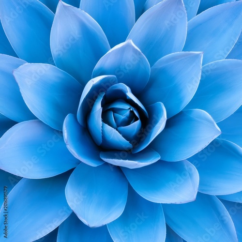 Close View of a Blue Flower With Many Petals Arranged in a Circular Pattern