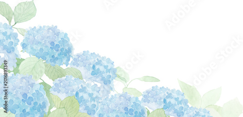 水彩で描いた紫陽花の背景イラスト