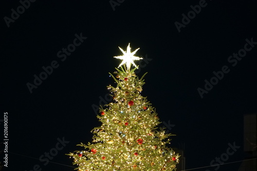 クリスマスツリー