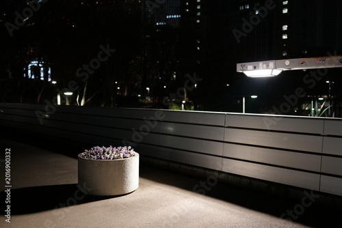 街灯に照らされる花壇