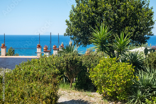 Garden with trees and plants on a hill overlooking the sea. The photo was taken near the seaside village of Rodia, Sicily, in Southern Italy