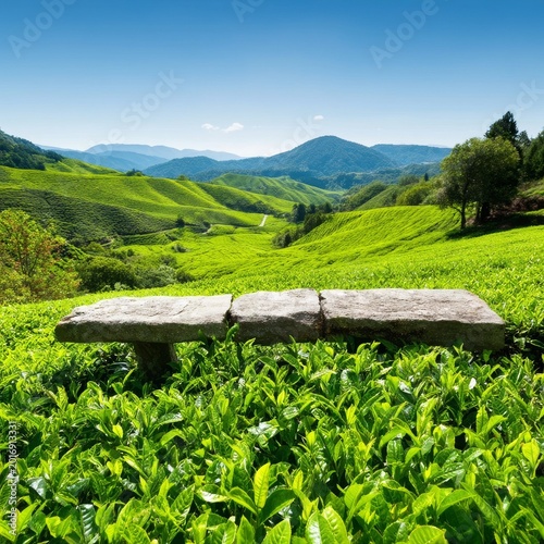 Green Field With a Stone in Front of Mountains on a Sunny Day