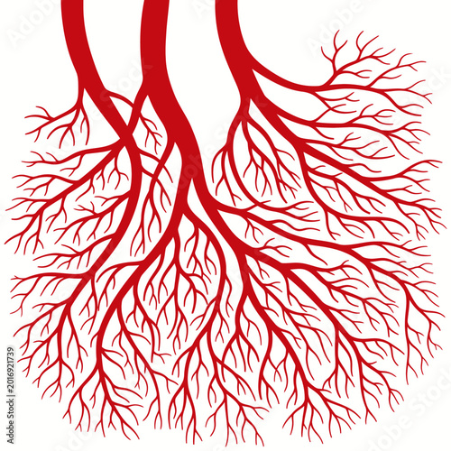 Abstract illustration of red branching network resembling vascular system