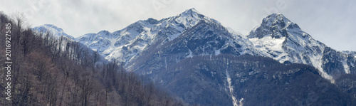 Schilderij op canvas Winter view of snow-covered mountains with leafless trees below