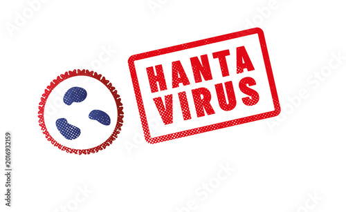 virus HANTAVIRUS ou orthohantavirus