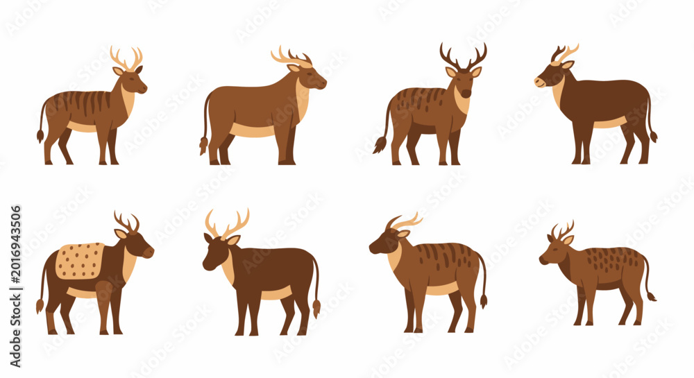 Obraz premium Set of various deer illustrations isolated on white background for design