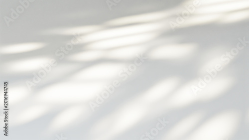 Canvastavla Sunlight casting a blurred window shadow on a neutral white wall background