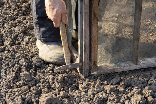 Quadro su tela Person using a hammer to repair an old wooden greenhouse frame in a garden, illu
