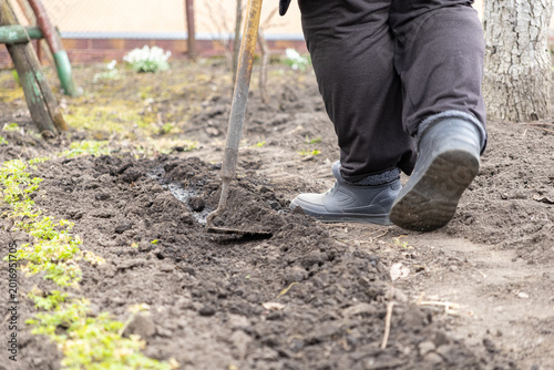 Bild auf Leinwand Person using a hand hoe to till soil in a vegetable garden, focusing on spring p