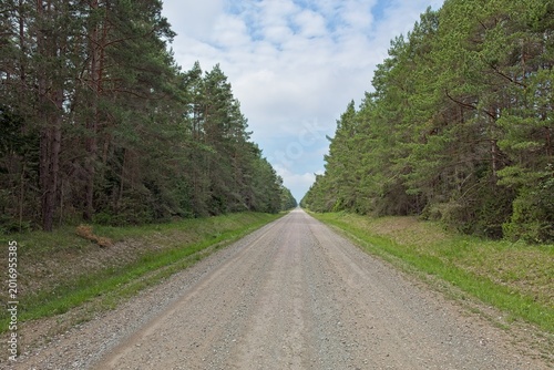 Long, straight gravel road cutting through a dense pine forest in summer with clouds in yhe sky, Saaremaa, Estonia, Europe.