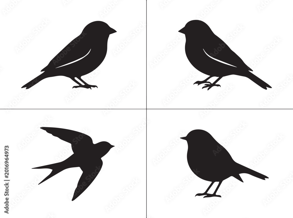Fototapeta premium Collection of four bird silhouettes: two small birds perched and two in flight with black and white cut out bird watching silhouette wildlife illustration