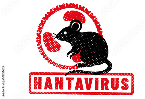 virus HANTAVIRUS ou orthohantavirus