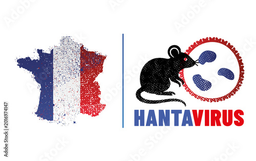 virus HANTAVIRUS ou orthohantavirus