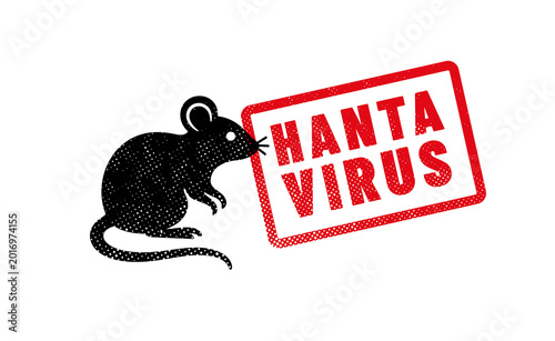 virus HANTAVIRUS ou orthohantavirus