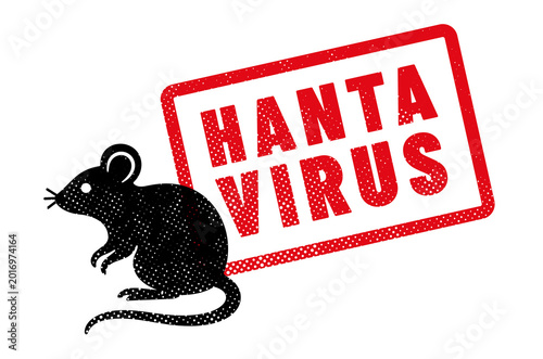 virus HANTAVIRUS ou orthohantavirus