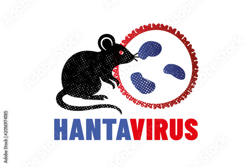 virus HANTAVIRUS ou orthohantavirus