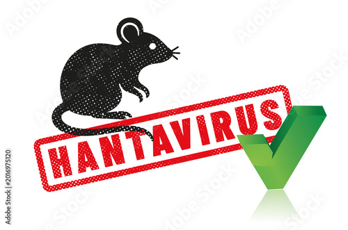 virus HANTAVIRUS ou orthohantavirus