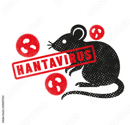 virus HANTAVIRUS ou orthohantavirus