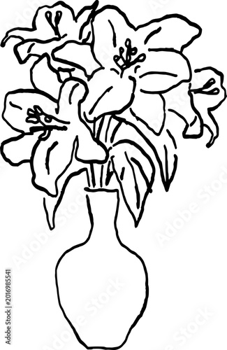 Minimalist lily flower bouquet in a vase, hand-drawn black line art vector illustration