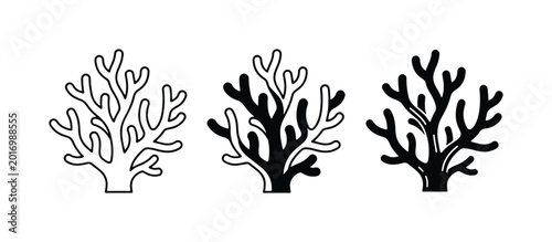 Cuadro en lienzo Coral Icons, Marine Life Vector Graphics, Underwater Plant Illustrations, Ocean