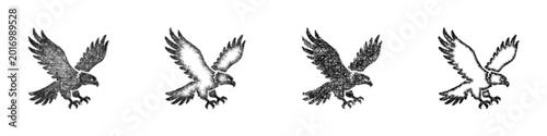 Photos Sketch hawk companion icon design set