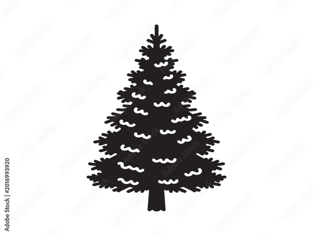 Fototapeta premium Norway spruce silhouette with classic evergreen woodland character 