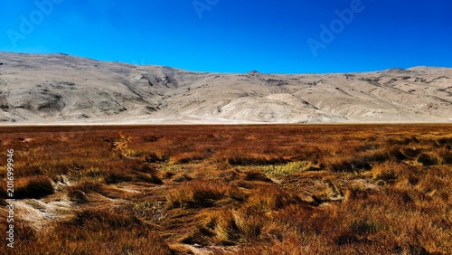 Canvas Print Vast high-altitude landscape with golden alpine grasslands stretching toward bar