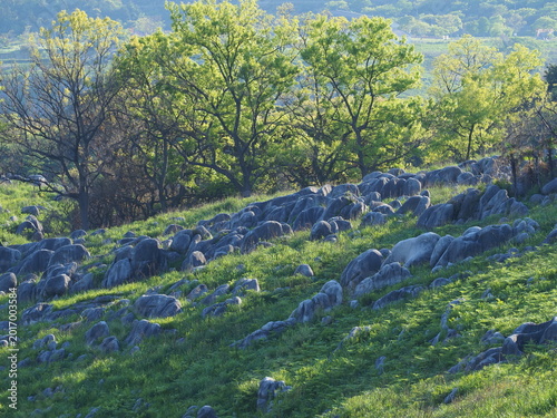 Foto 日が傾いたカルスト台地の風景