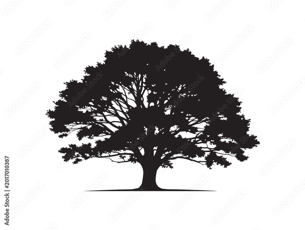 Fototapeta premium 368_Authentic_Nature_Tree_Silhouet_2_20260303_010002.eps