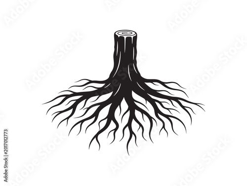 Old oak root base silhouette with powerful ancient tree presence 