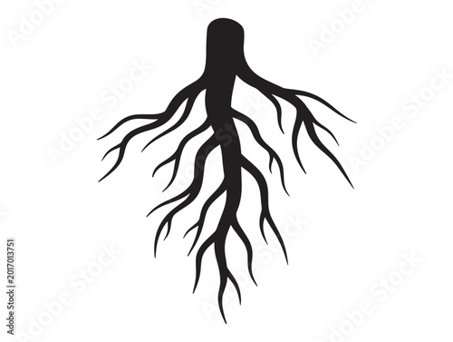 Root vein pattern silhouette with intricate botanical linework 