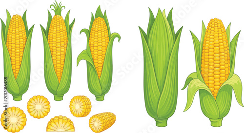 Quadro su tela Detailed Cartoon Sweet Corn Cob Set with Whole, Peeled, and Sliced Pieces in Gr