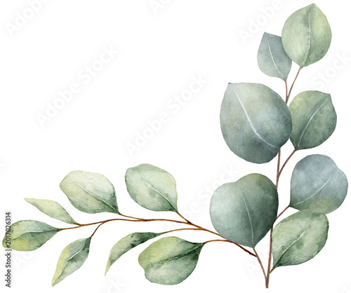 Watercolor corner border wreath with green eucalyptus leaves and branches. Gr...