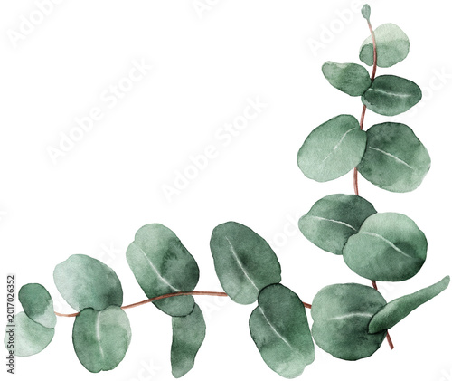 Watercolor corner border wreath with green eucalyptus leaves and branches. Gr...