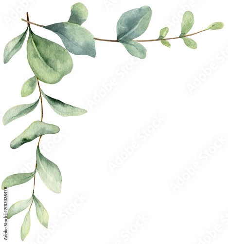 Watercolor corner border wreath with green eucalyptus leaves and branches. Gr...