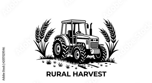 combine harvester on wheat field