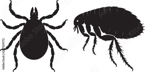 Fotografie Silhouette comparison of a tick and a flea, highlighting their distinct anatomic
