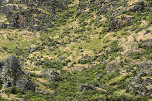 Rocky Hillside with Dry Grass and Green Shrubs